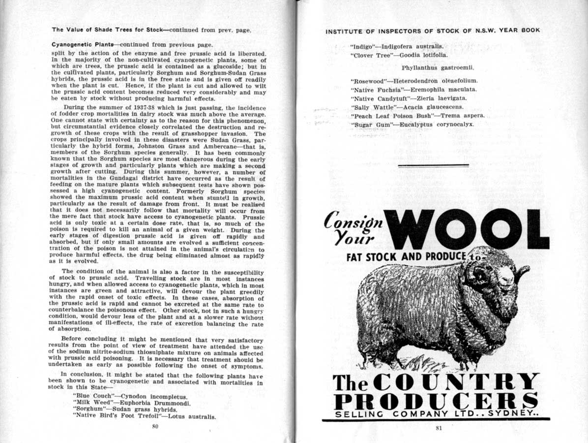 1938 Page 80 81